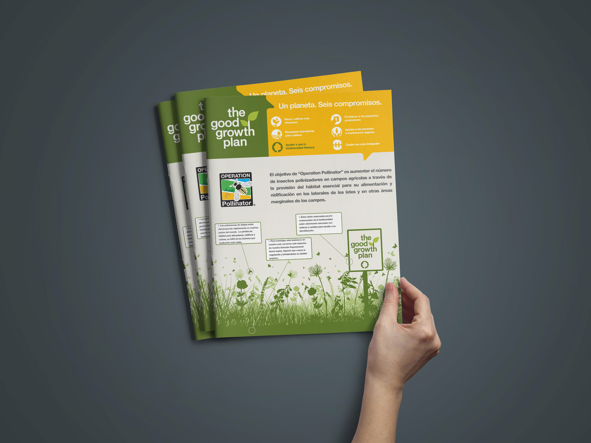 proyecto FWC Agro para Singenta